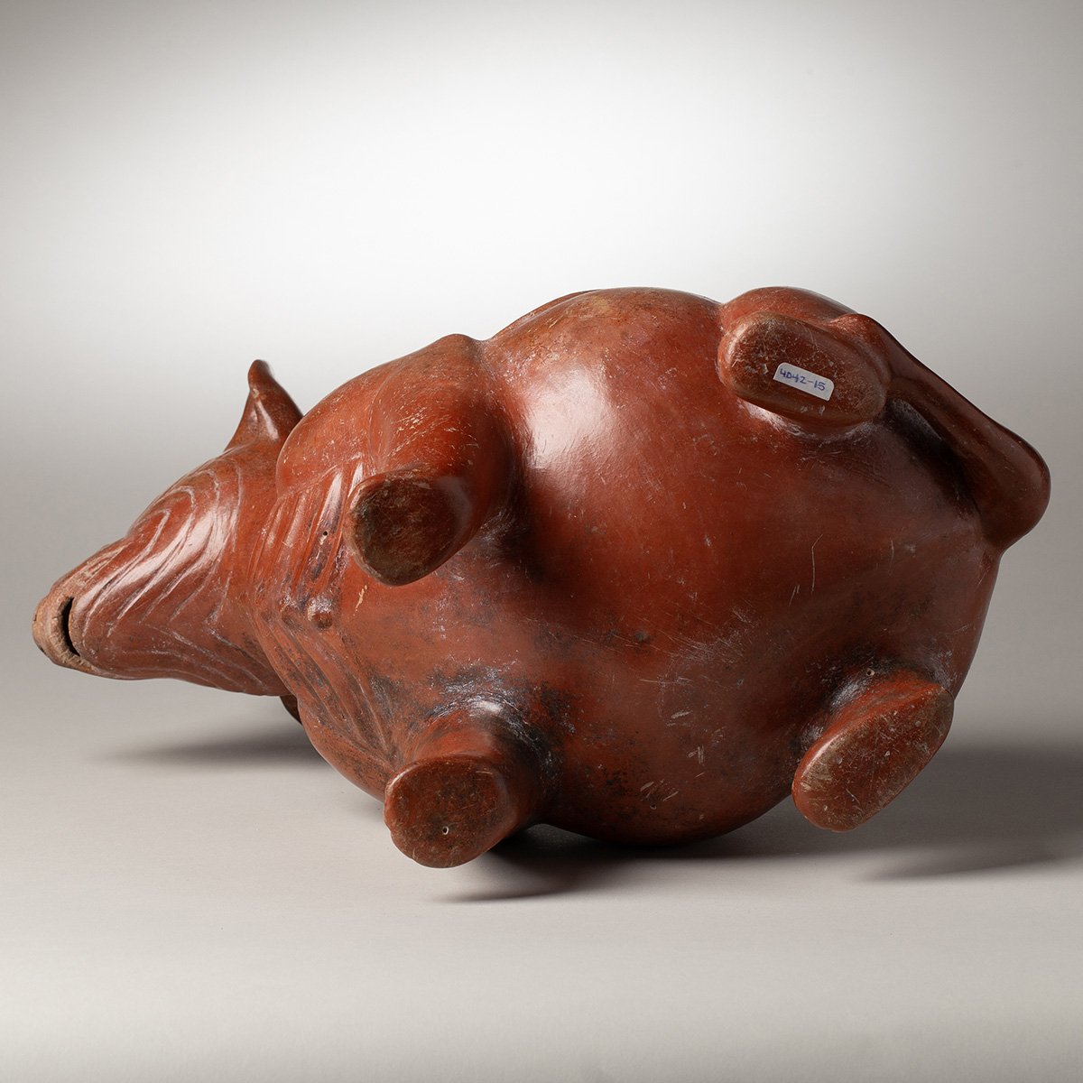 1346-Very-Large-Colima-Seated-Wrinkled-Dog-Pre-Columbian-Art-Blackburn-8.jpg