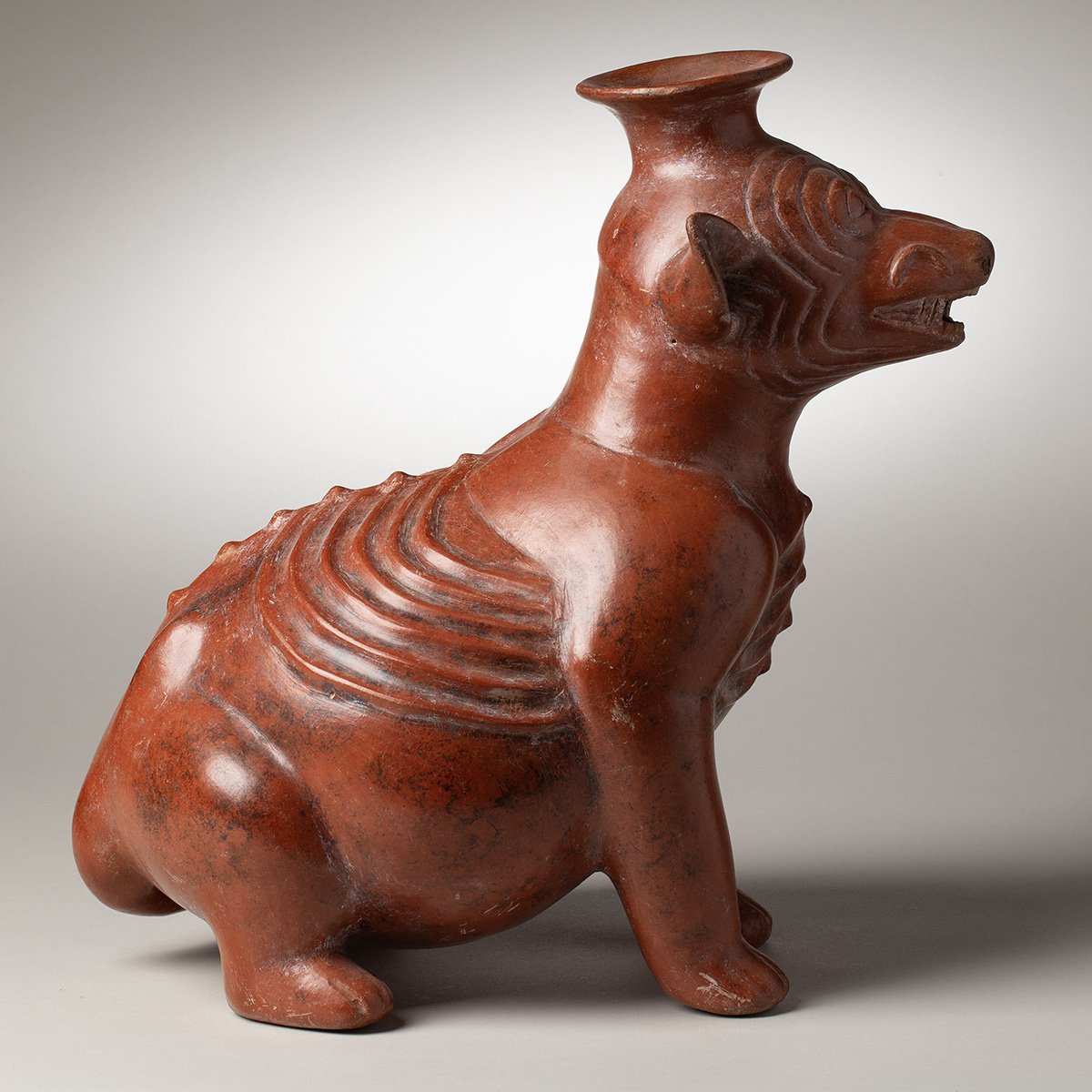 1346-Very-Large-Colima-Seated-Wrinkled-Dog-Pre-Columbian-Art-Blackburn-6.jpg