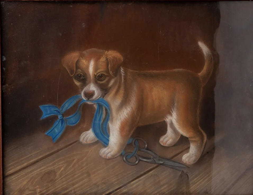 Puppy