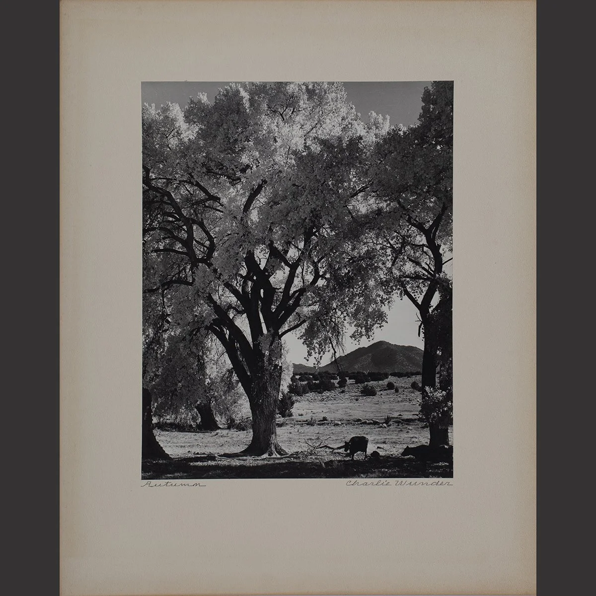 2424-2441-Important-Collection-27-Photographs-by-Charlie Wunder-Photographs-Art-Blackburn-4.jpg