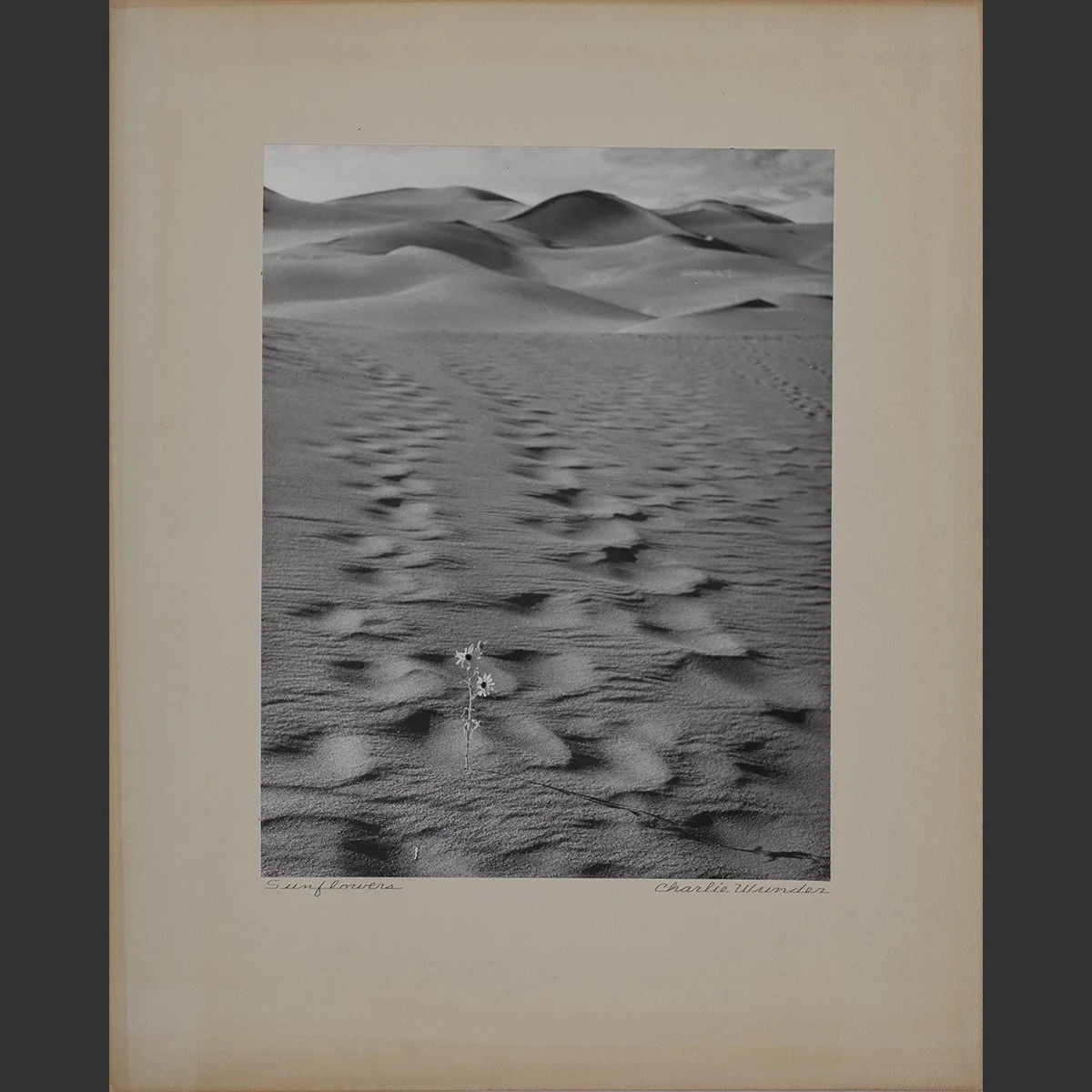 2424-2441-Important-Collection-27-Photographs-by-Charlie Wunder-Photographs-Art-Blackburn-12.jpg