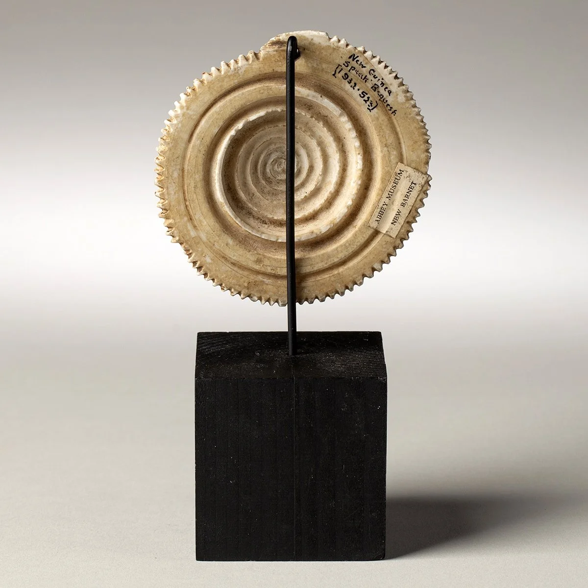 2245-Rare-Torres-Straits-Pendant-Oceanic-Art-Blackburn-5.jpg