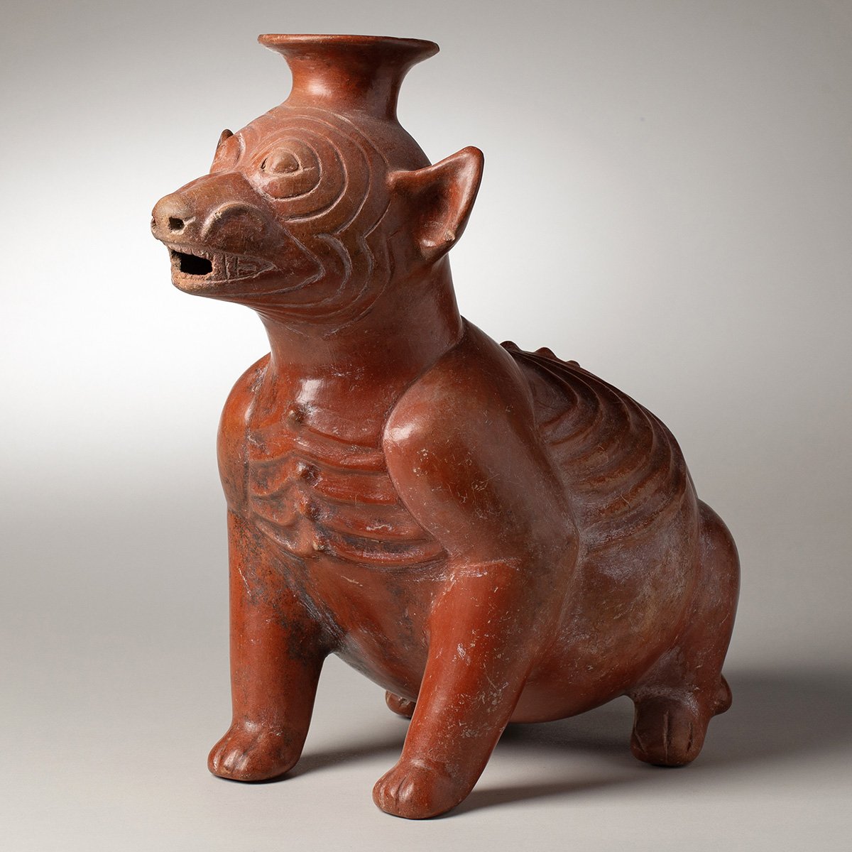 1346-Very-Large-Colima-Seated-Wrinkled-Dog-Pre-Columbian-Art-Blackburn-3.jpg