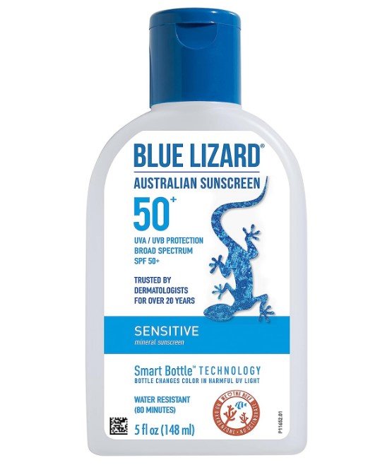 blue lizard.jpg