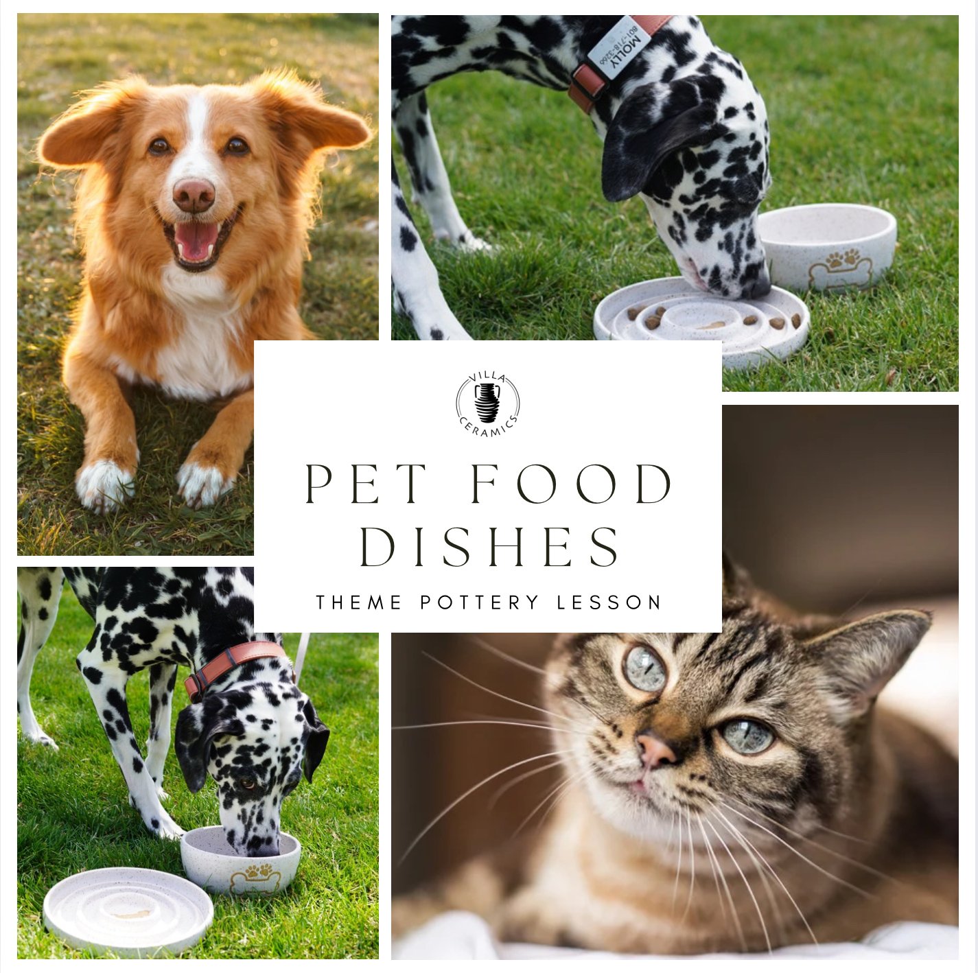 Pet food dishes theme pottery lesson June