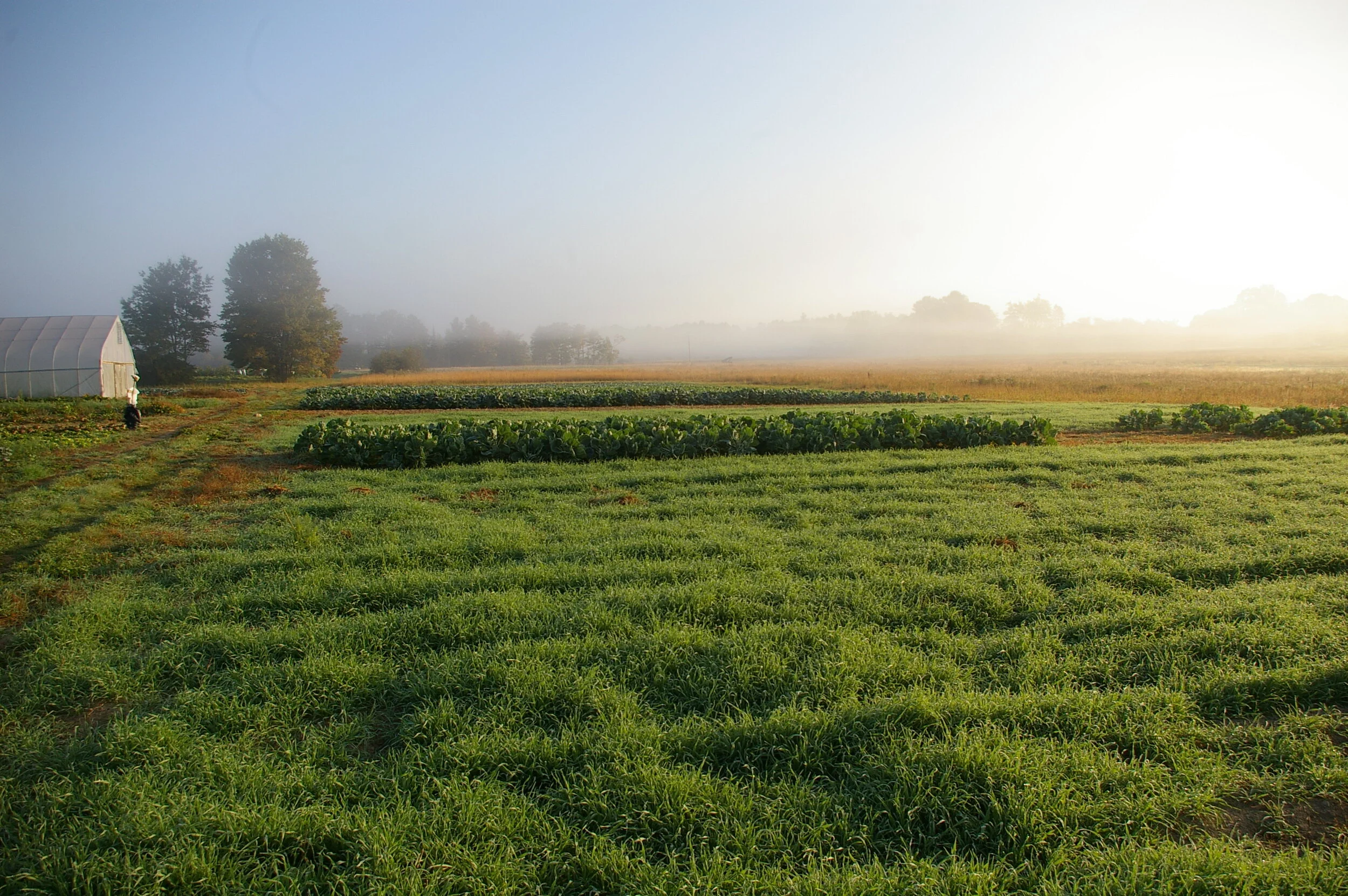 Photos — Stonecipher Farm