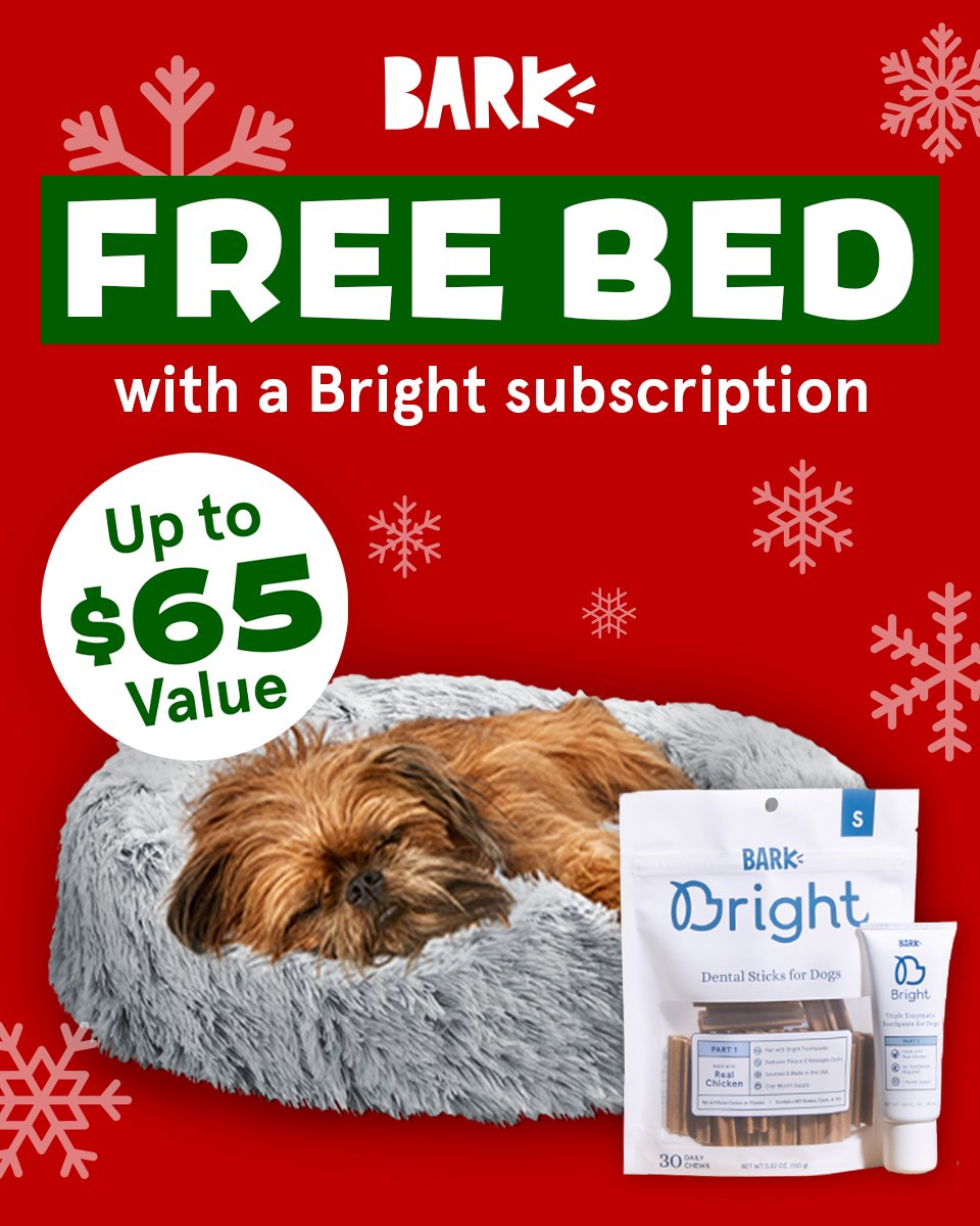Bright_December_GWP_CuddlerBed_GoogleDiscovery_960x1200.jpg