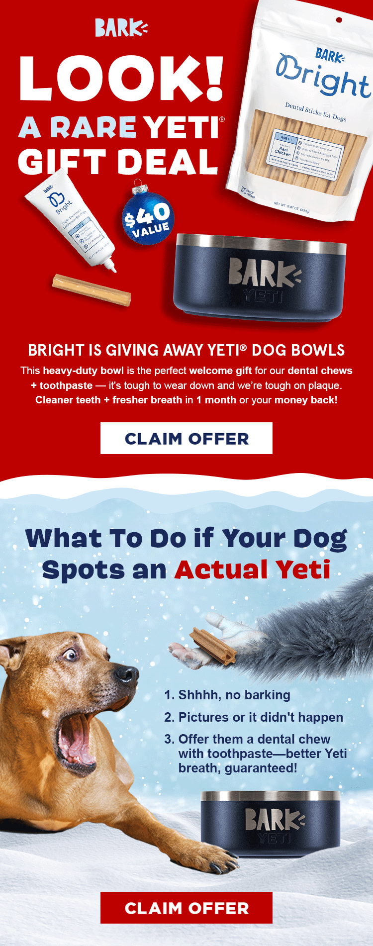 Bright_December_Email_GWP_YETI.gif