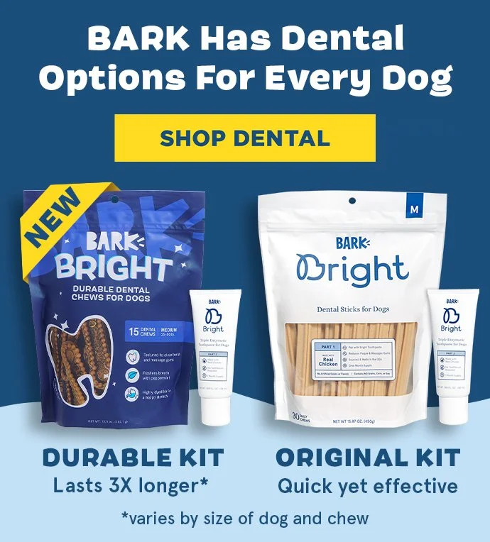 Bright_ATB_SiteBanner_DurableCollection_Mobile.jpg