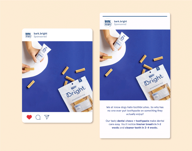 BARK_PaidAds_Layout-04.gif