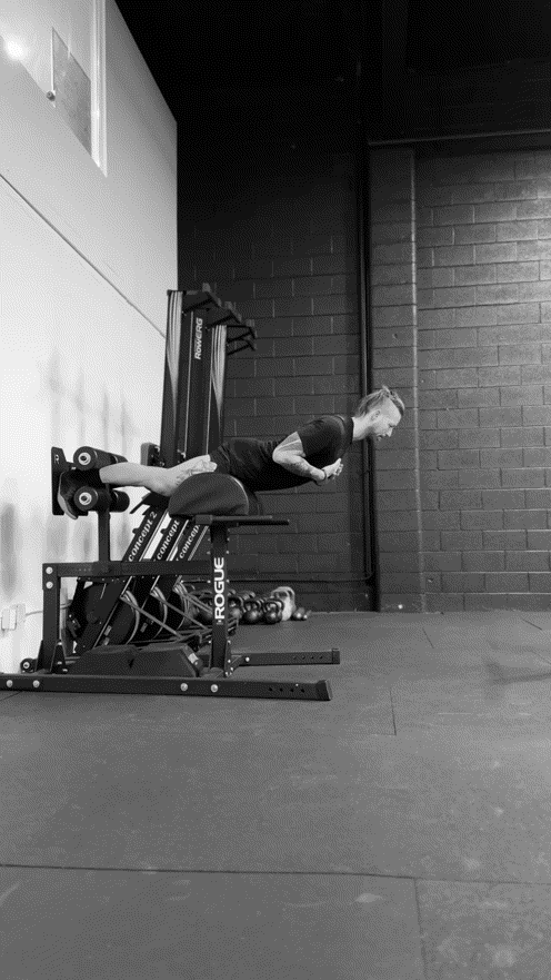 Back Extension EQI