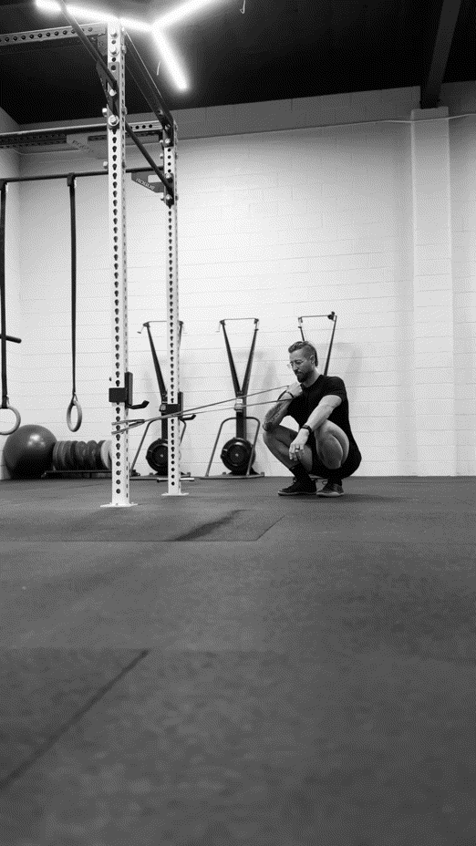 Bicep Curl Constant Tension