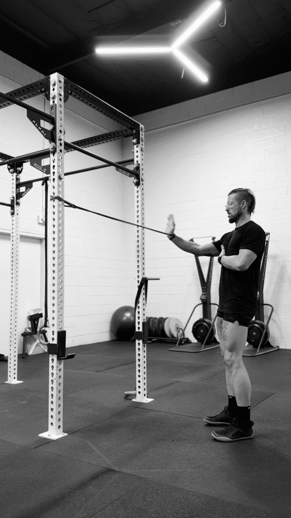 Flexed Wrist Row
