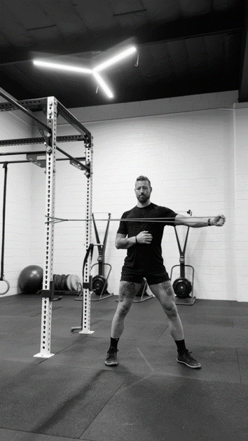 Shoulder Adduction ENG