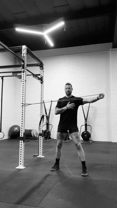 Shoulder Adduction EQI