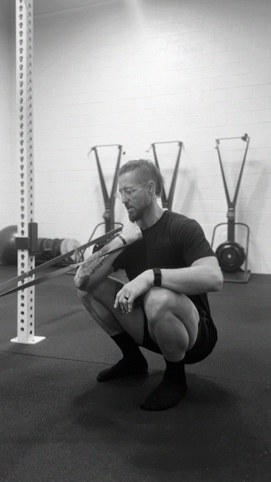 Bicep Curl EQI