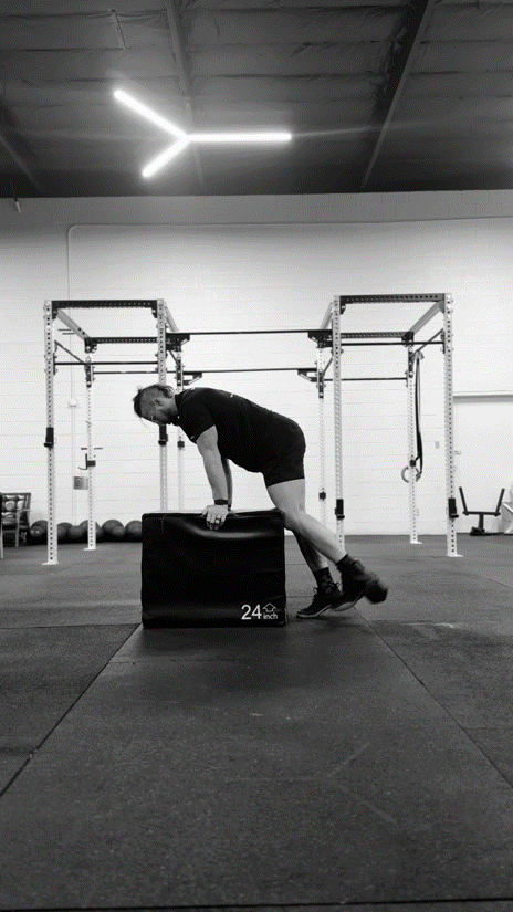 DB Hamstring Curl