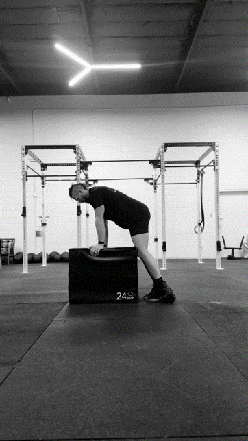 Hamstring Curl EQI