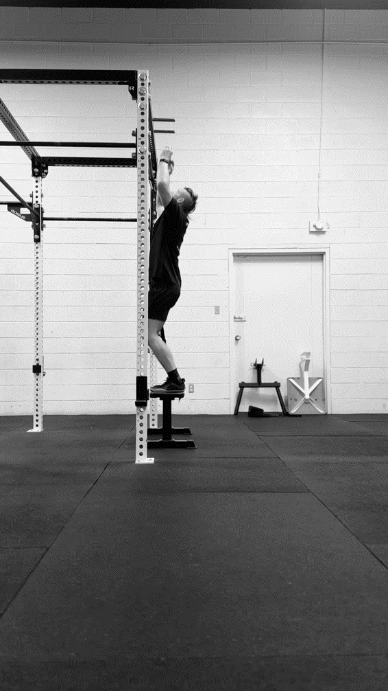 Neutral Grip Pull-Up EQI