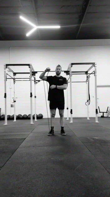 Shoulder E:R Constant Tension
