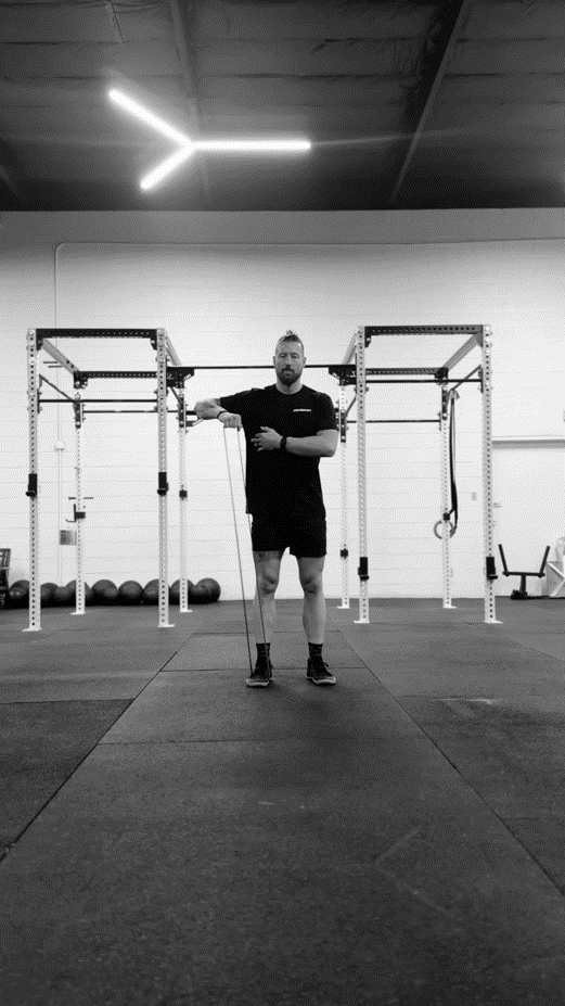 Shoulder I:R Constant Tension