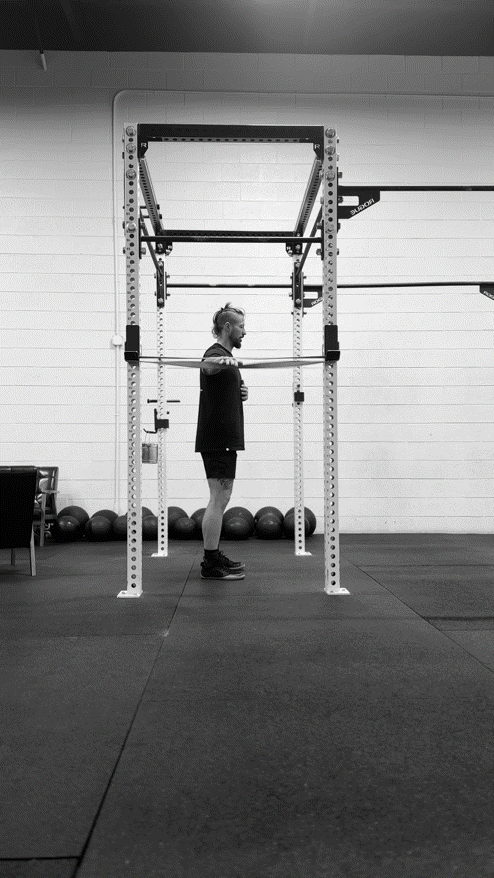Shoulder Rebound Lateral