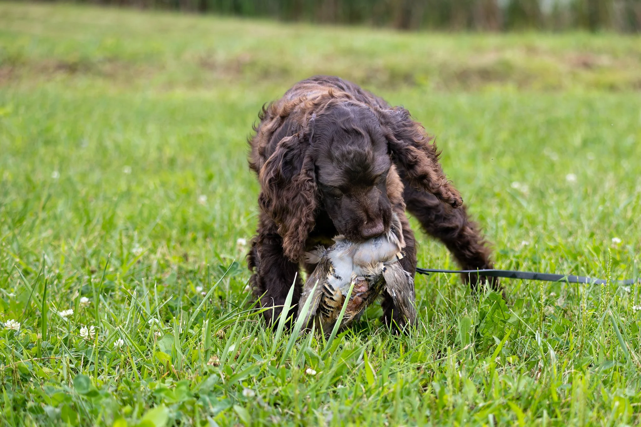 00AWSCHuntTestPhotos-14-X4.jpg
