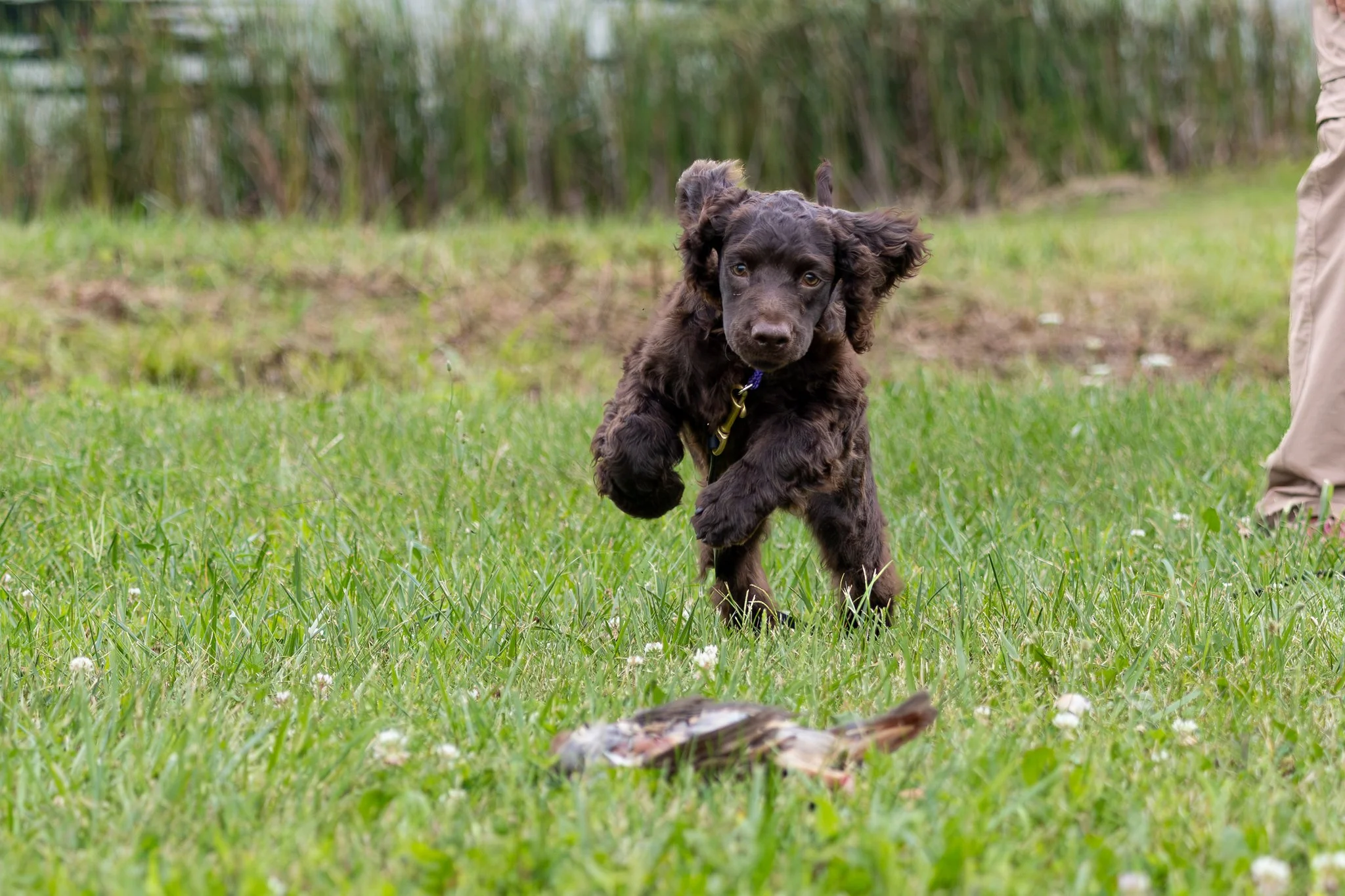 00AWSCHuntTestPhotos-9-X4.jpg