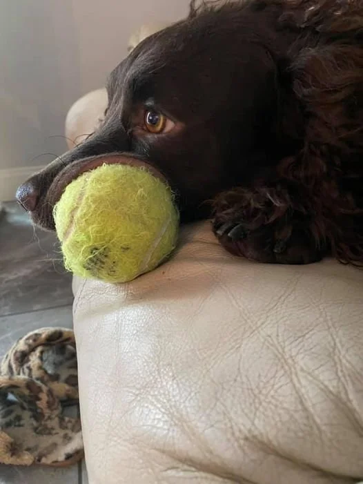 What to play?