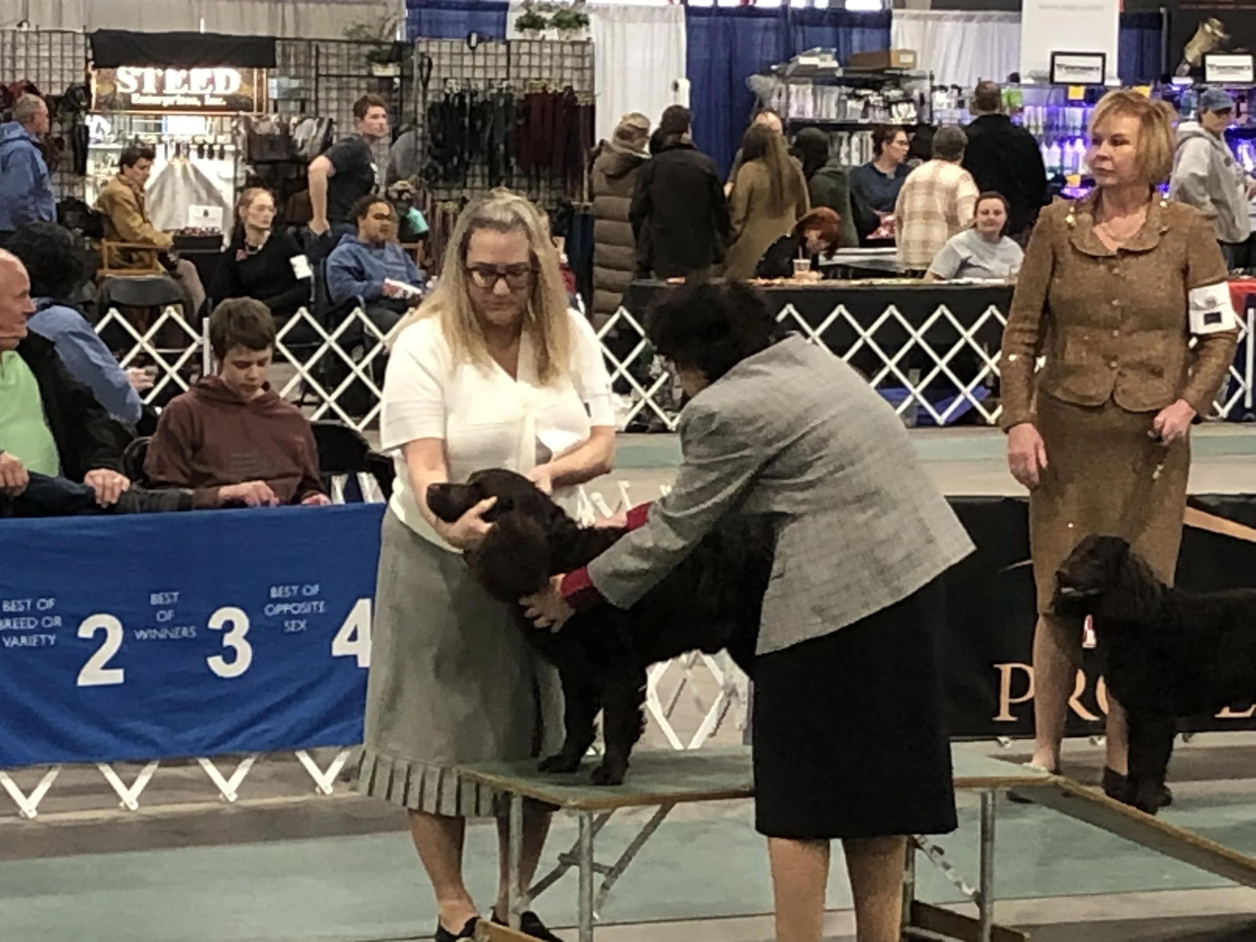 Kim Lukehart in the show ring.jpg