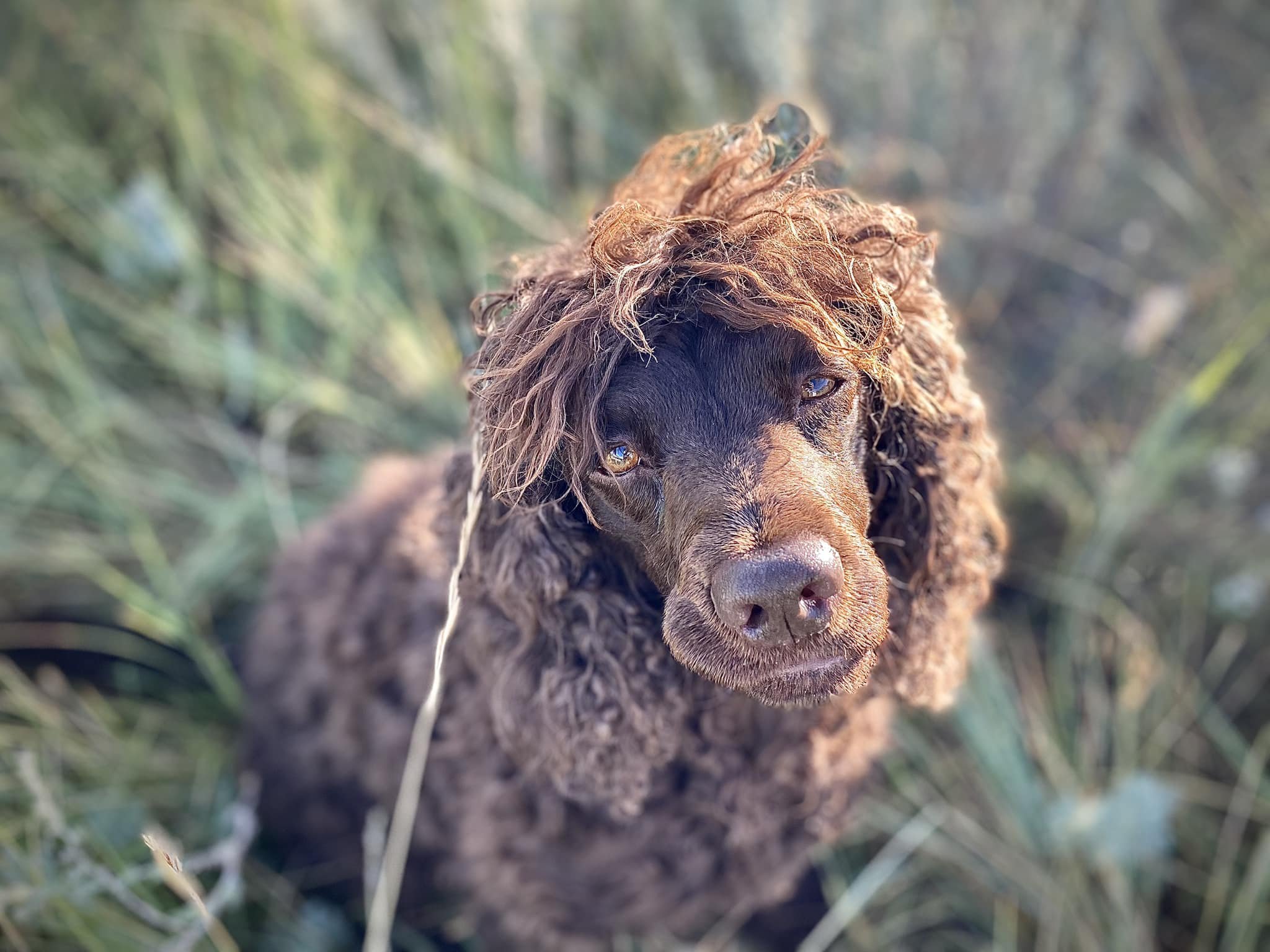 Cee Jay2.jpg