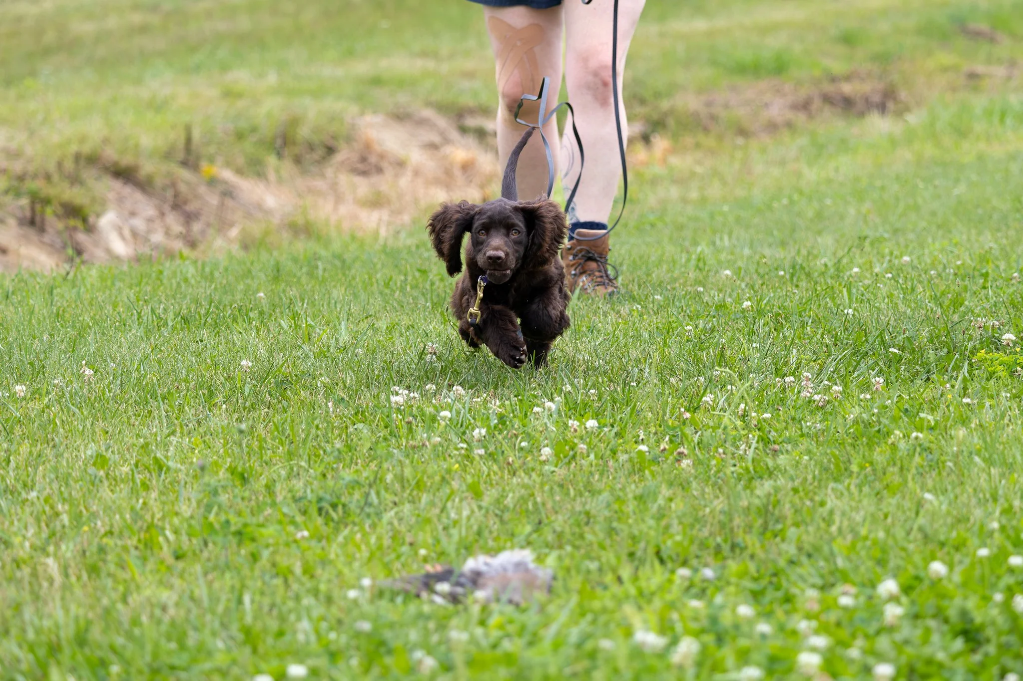 10AWSCHuntTestPhotos-8-X4.jpg