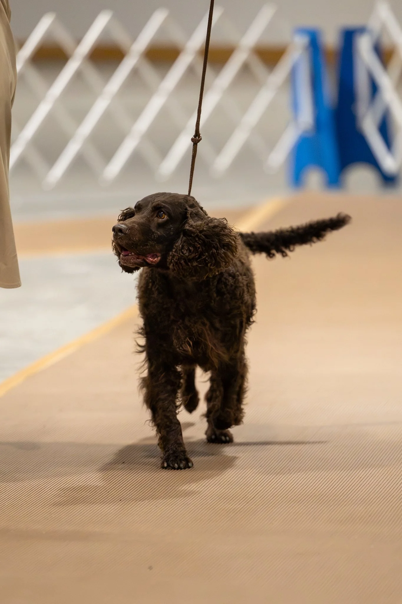 ASWC2Show-X4.jpg