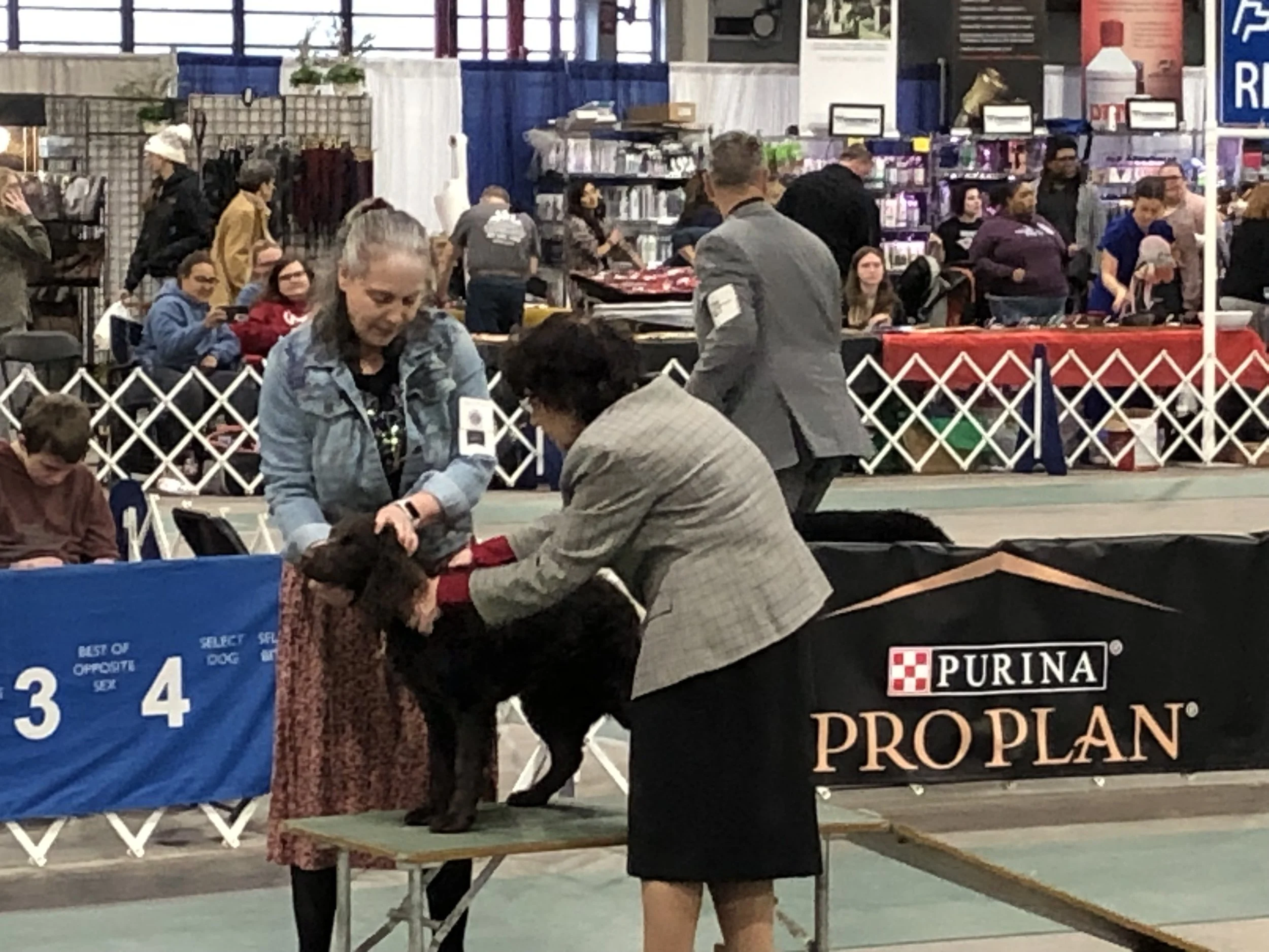 Chris Dostie in the ring.jpg