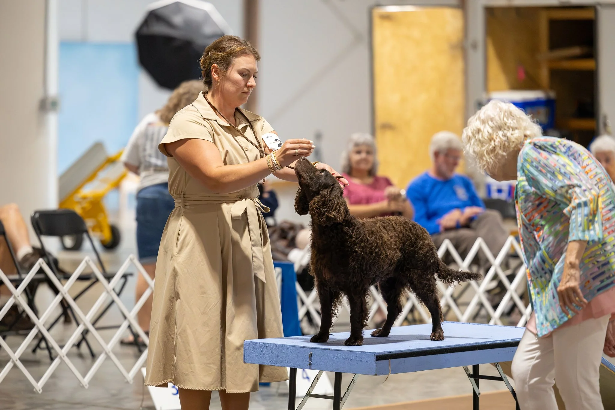ASWC2Show-3-X4.jpg
