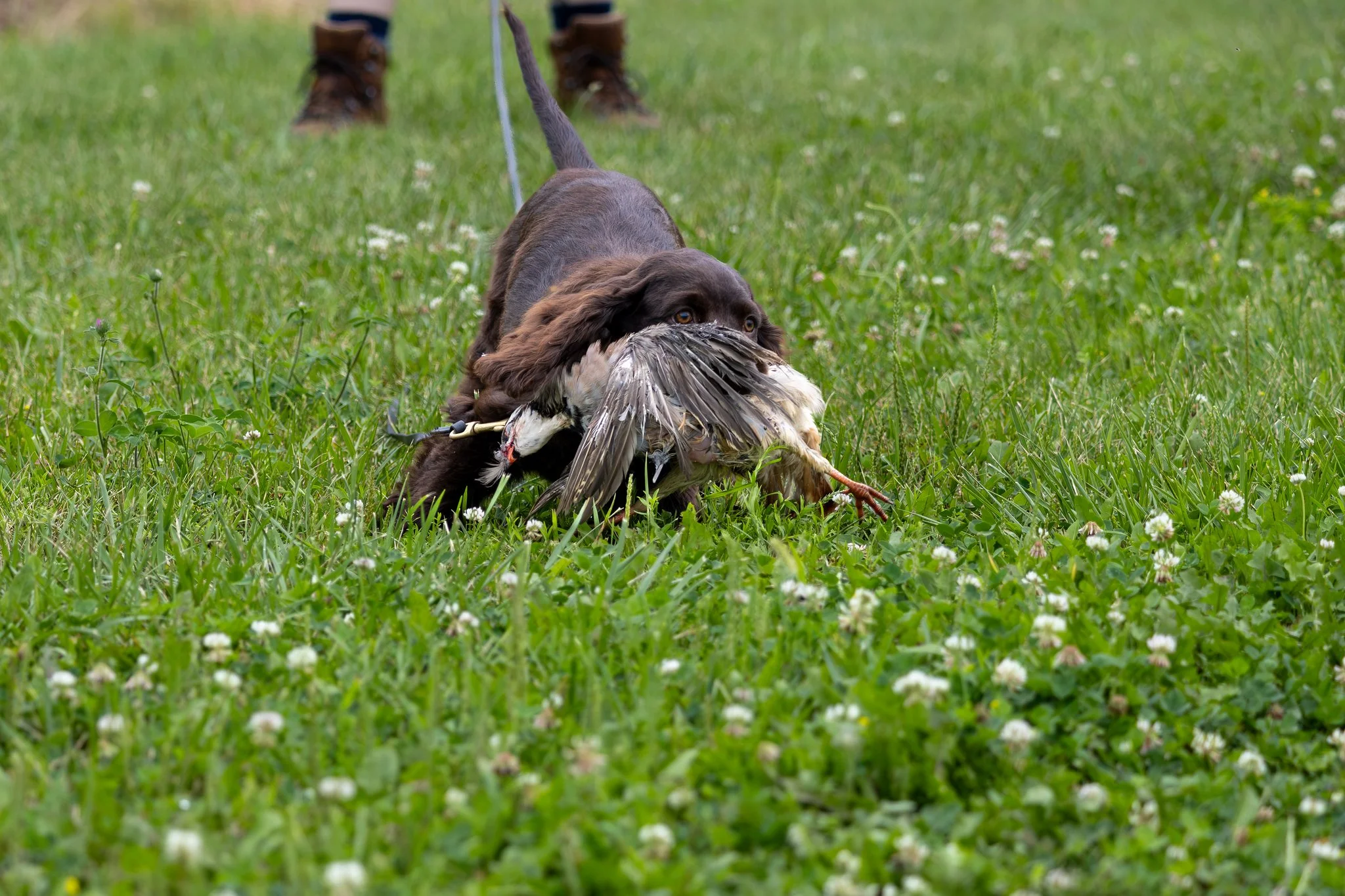 10AWSCHuntTestPhotos-2-X4.jpg