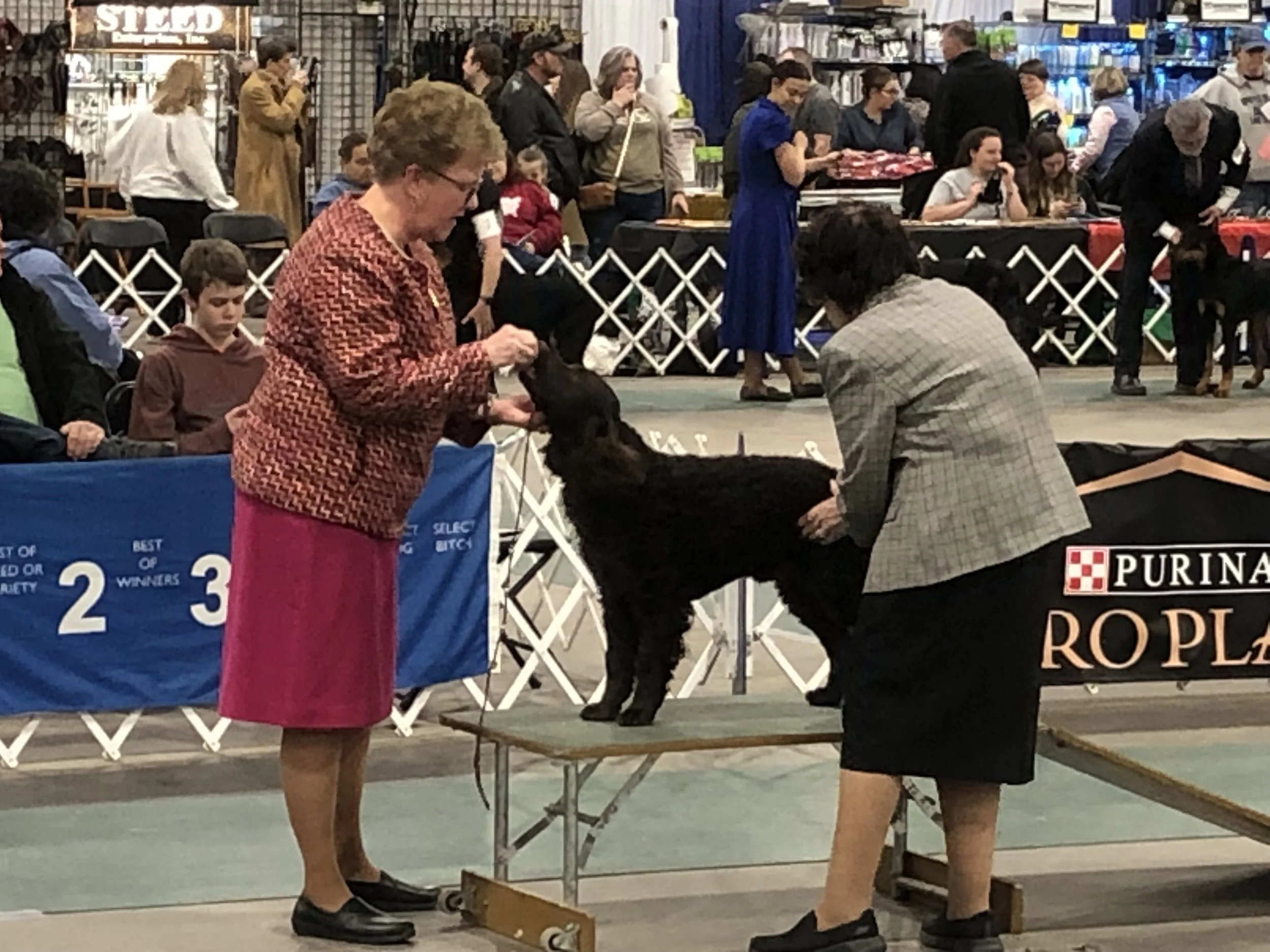 Linda Hattrem in the ring.jpg