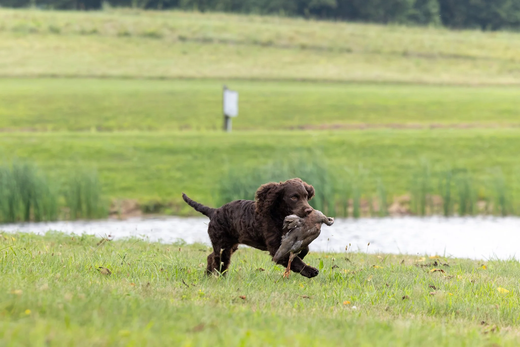 AWSCNaturalAbilities-21-X4.jpg
