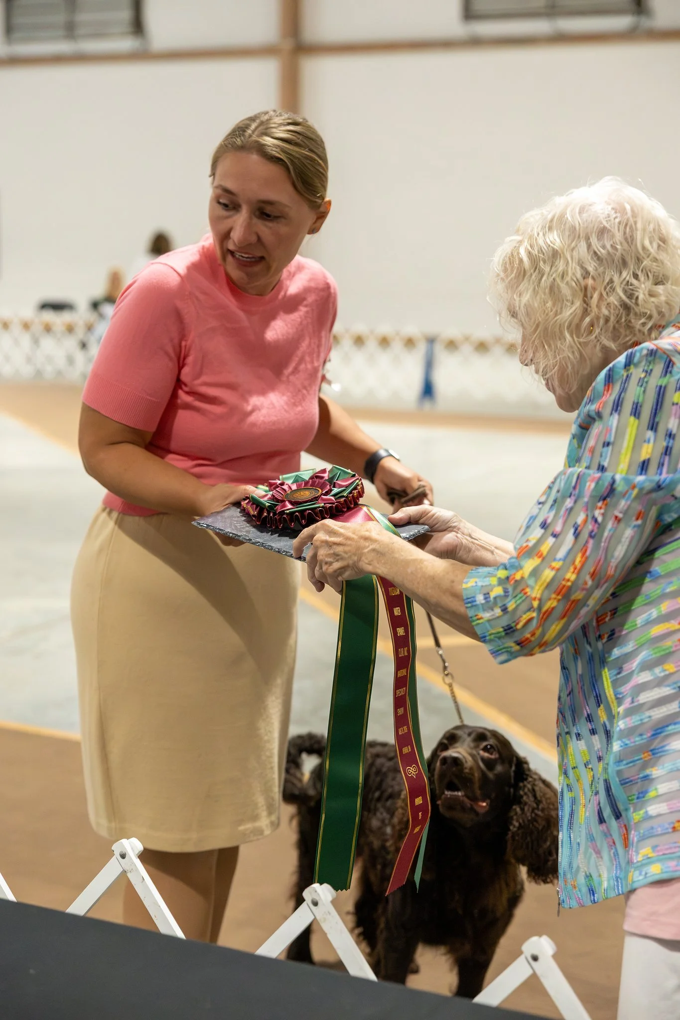 0ASWC2Show-2-X4.jpg