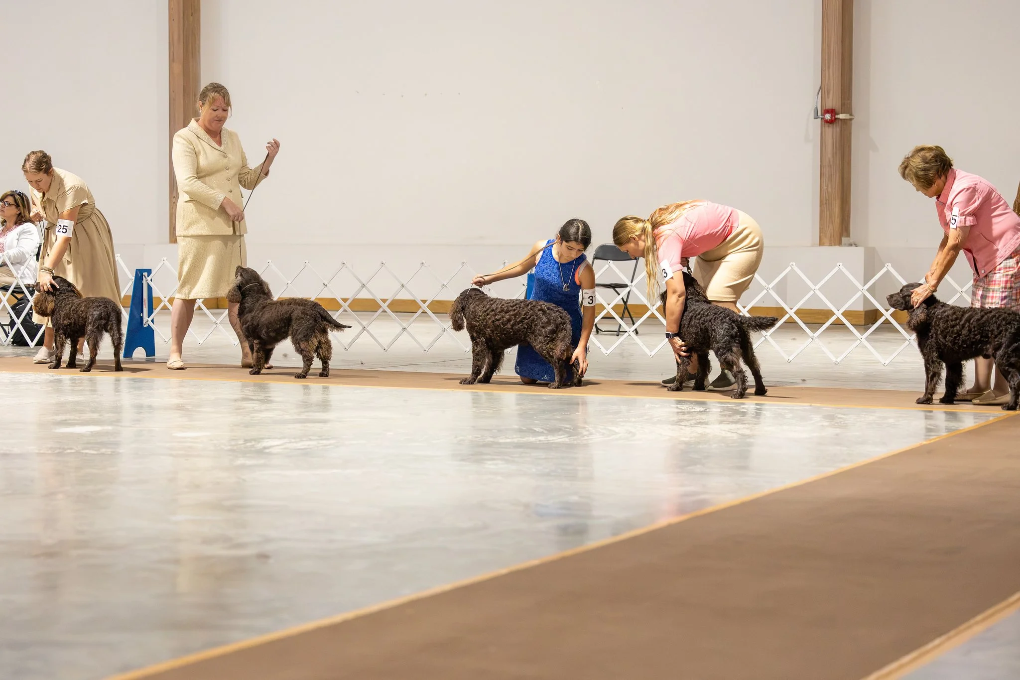 0ASWC2Show-21-X4.jpg