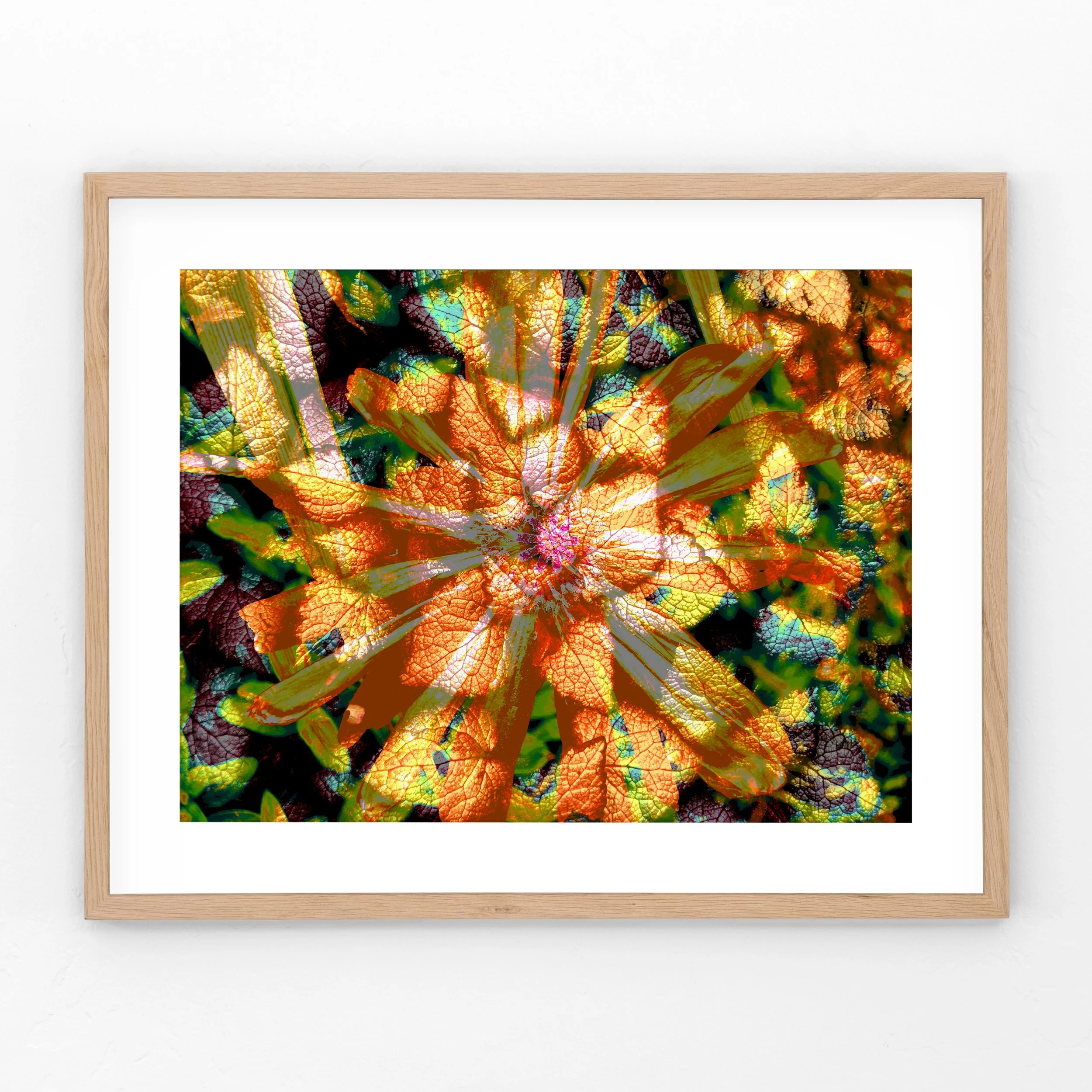 Poppy-DeadNettleLeaves-Framed.jpg