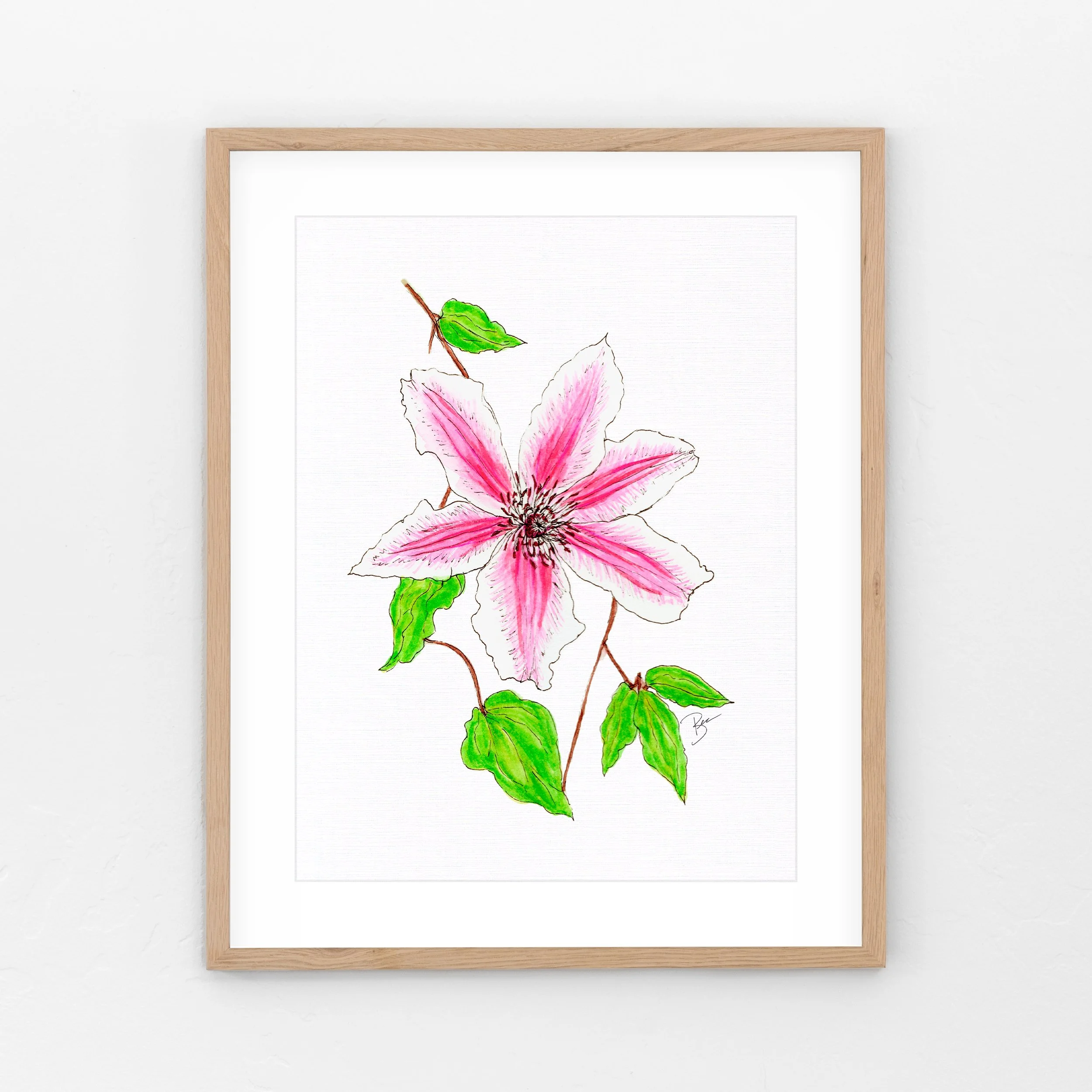 Clematis