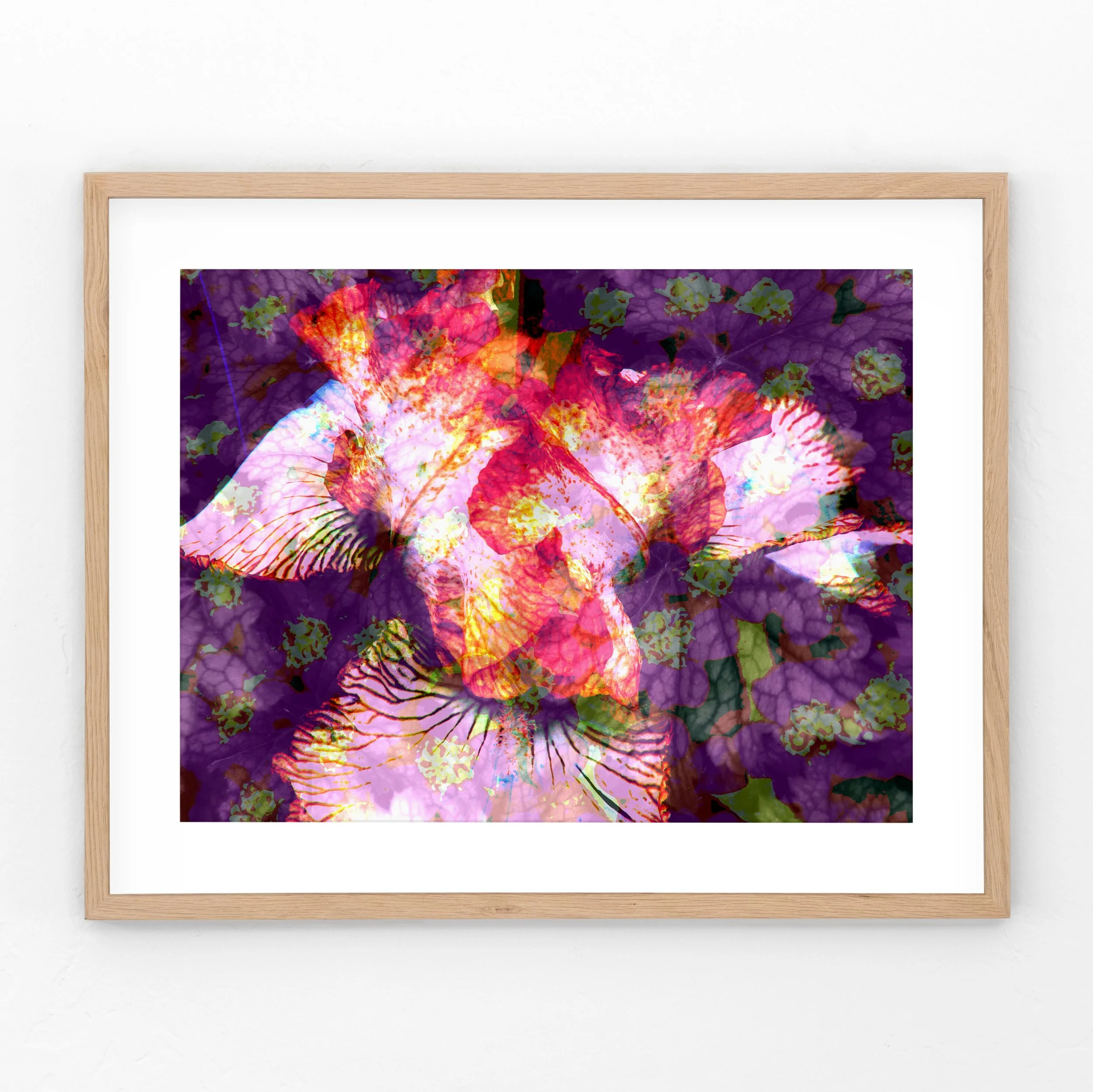 Iris-CoralbellLeaves-Yarrow-Framed.jpg