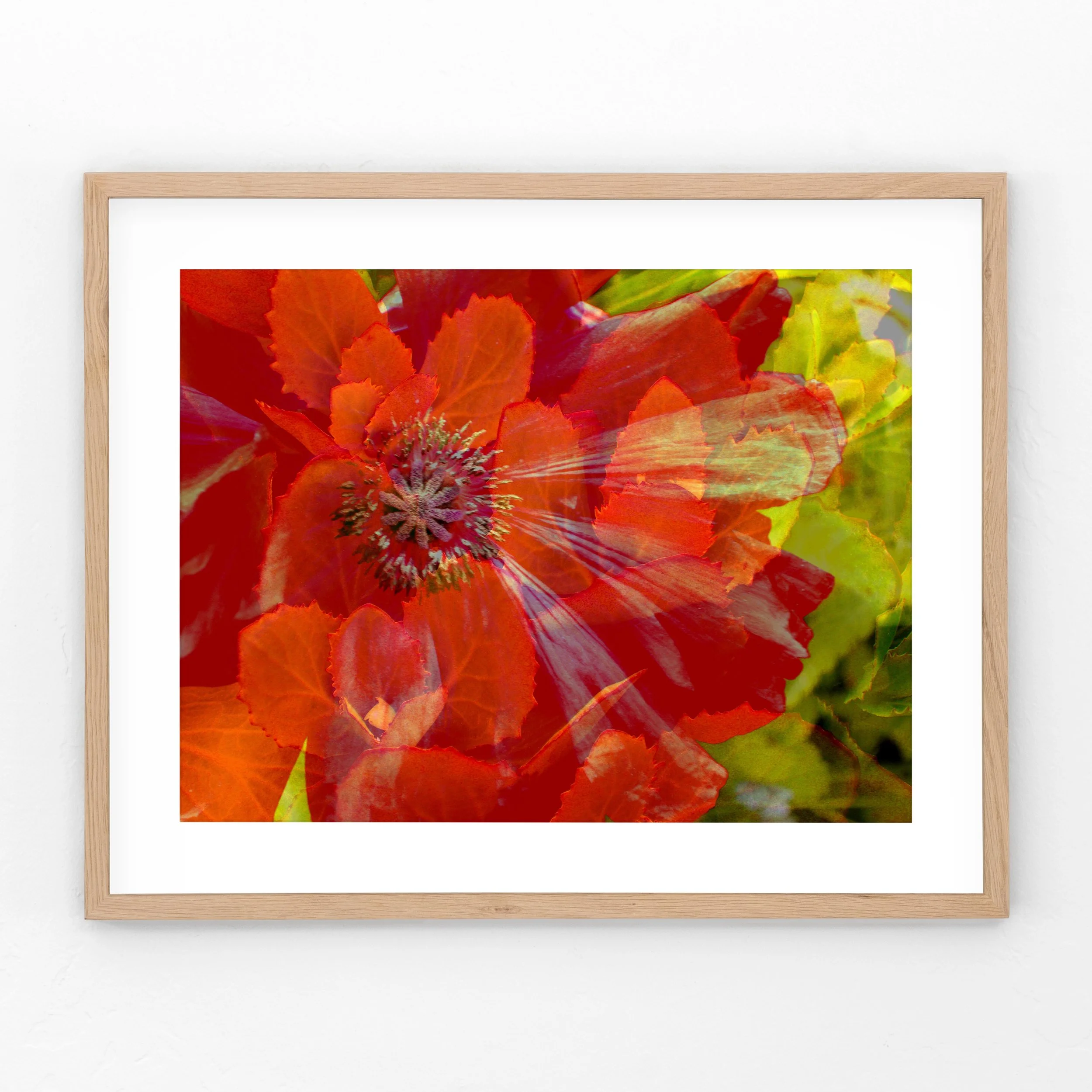 Poppy-Sedum-Framed.jpg