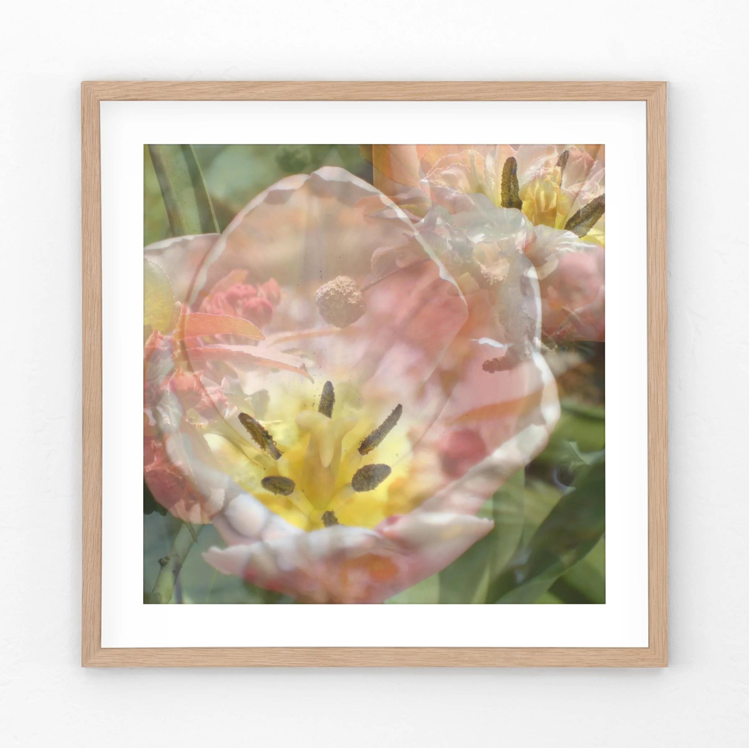 Tulip-Crabapple-Framed.jpg