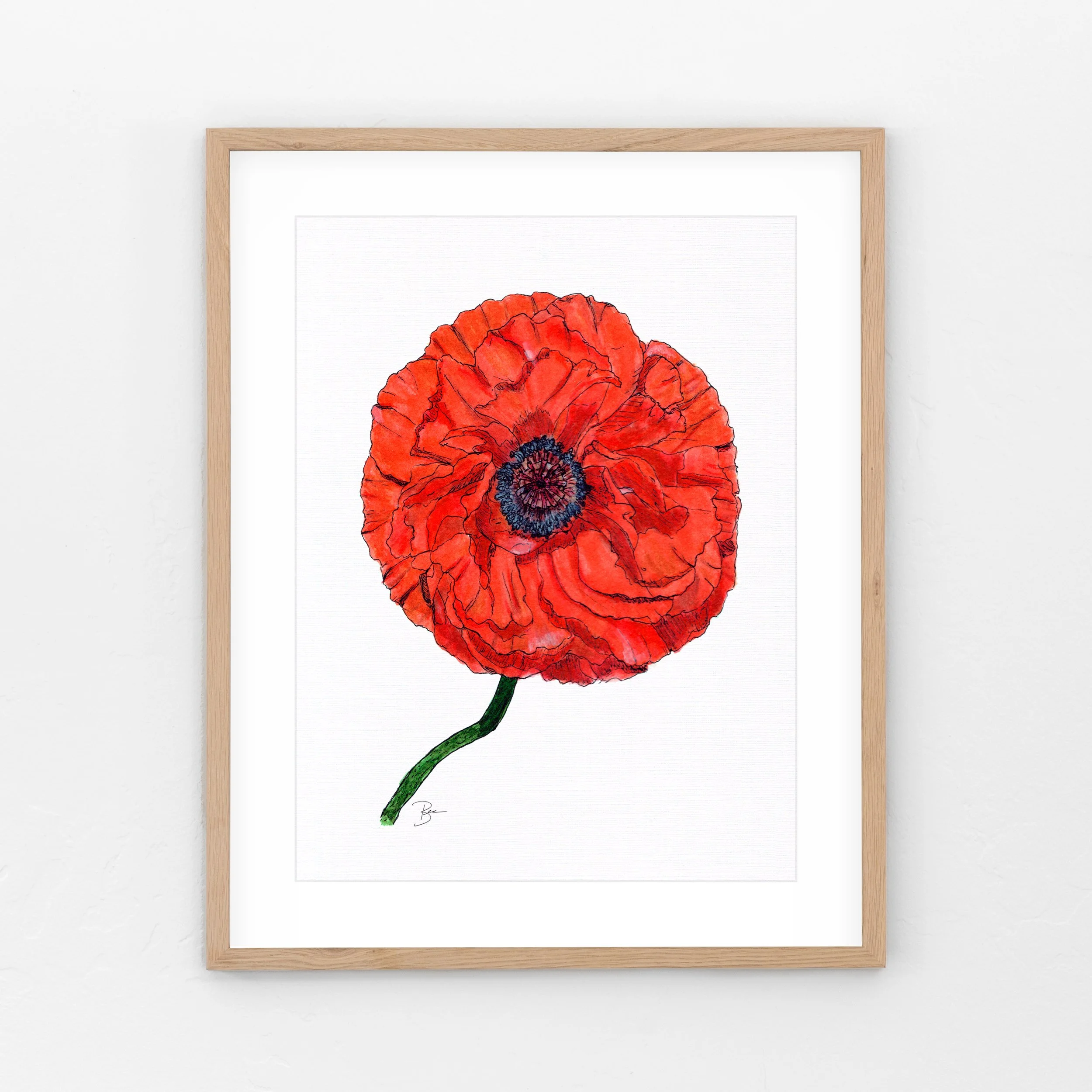 Oriental Poppy