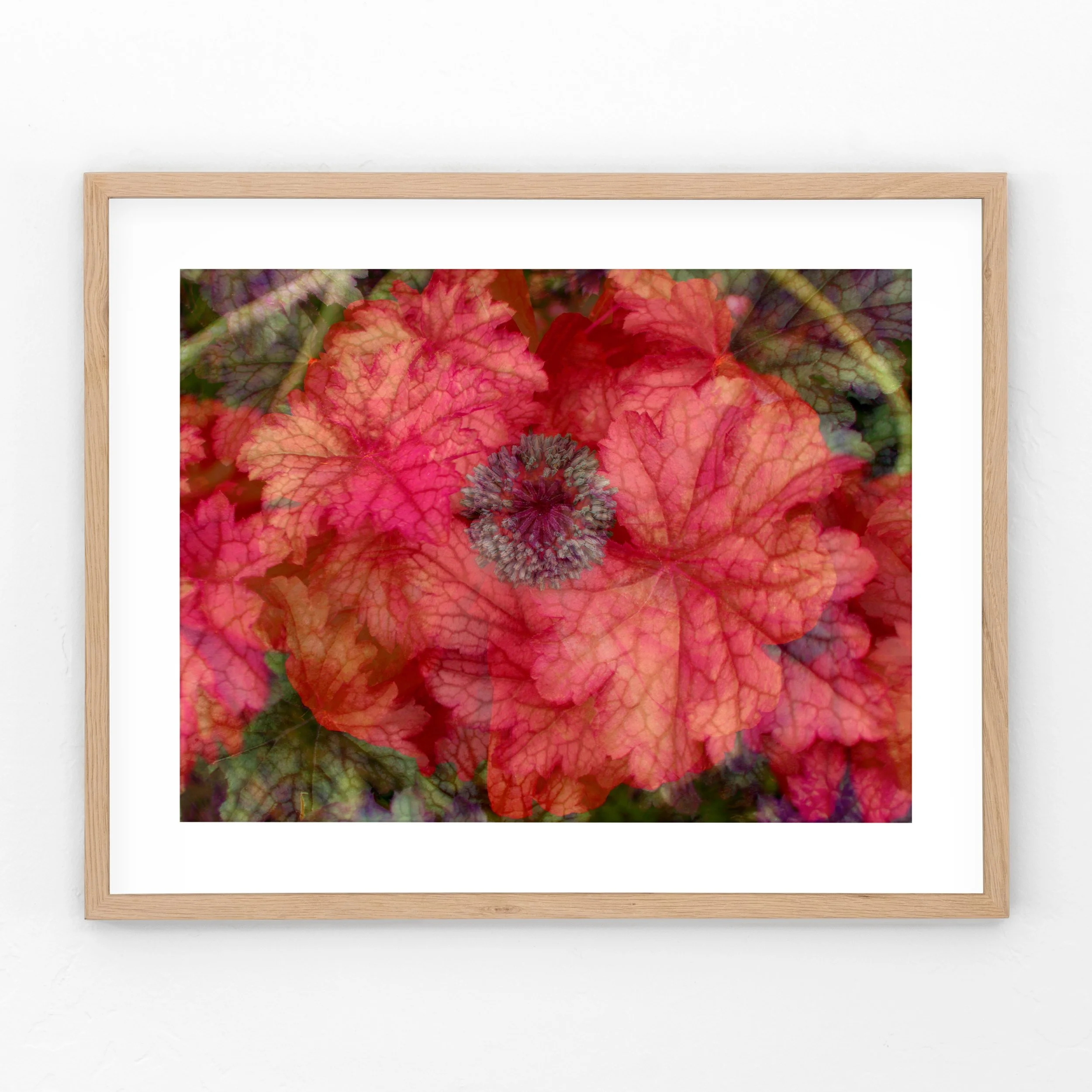 Poppy-CoralbellLeaves-Framed.jpg