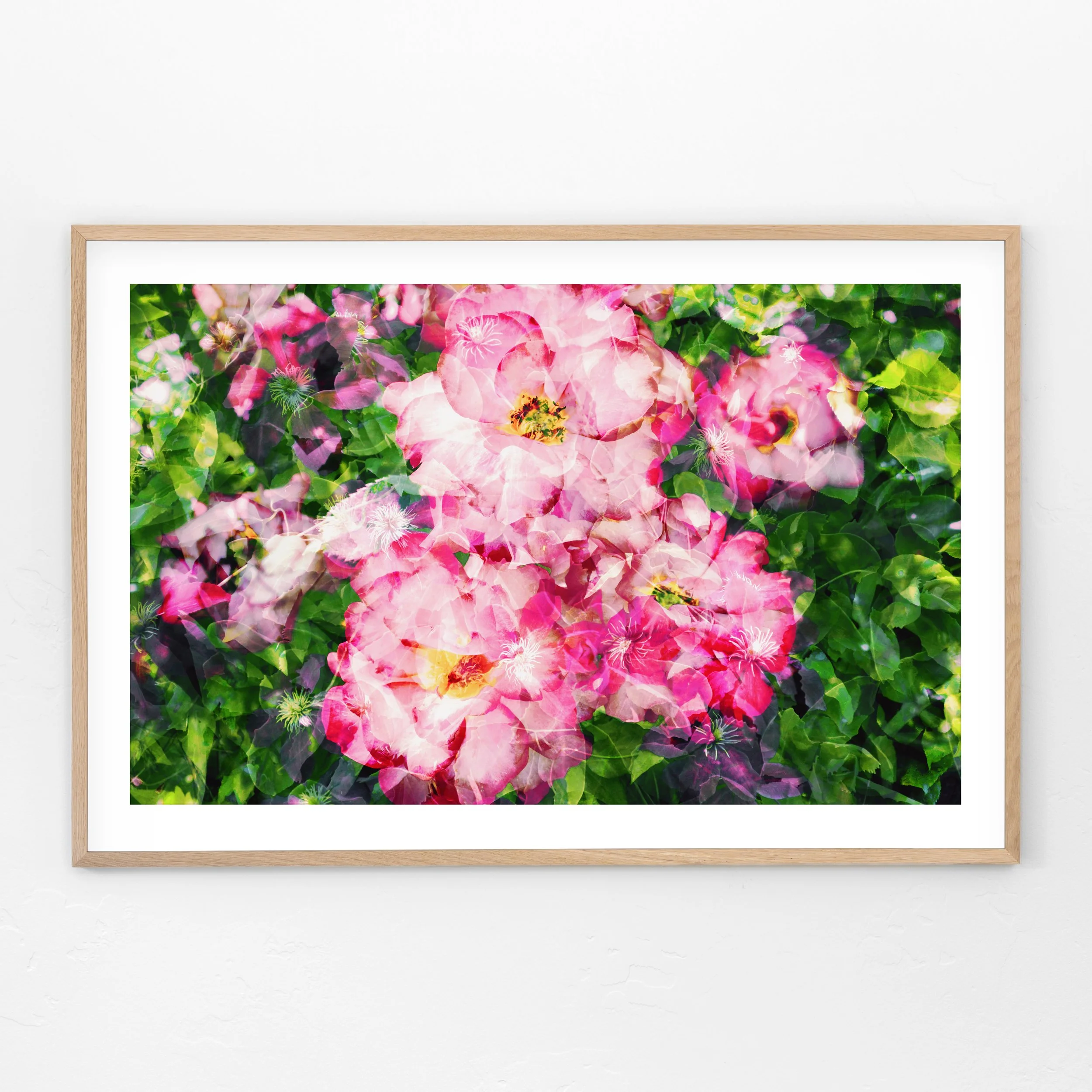Rose-Sedum-Clematis-Framed.jpg