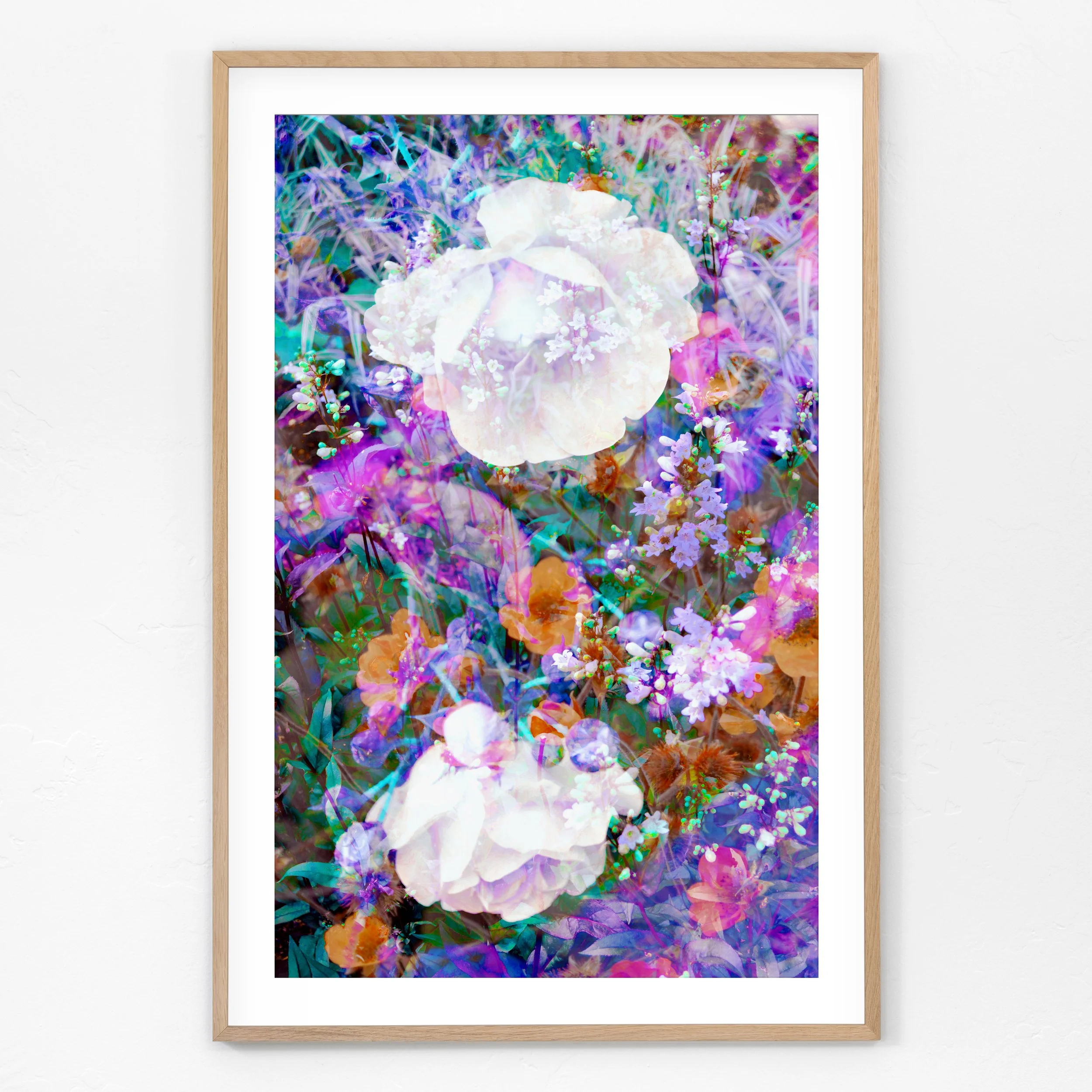 Rose-2unknown-Framed.jpg
