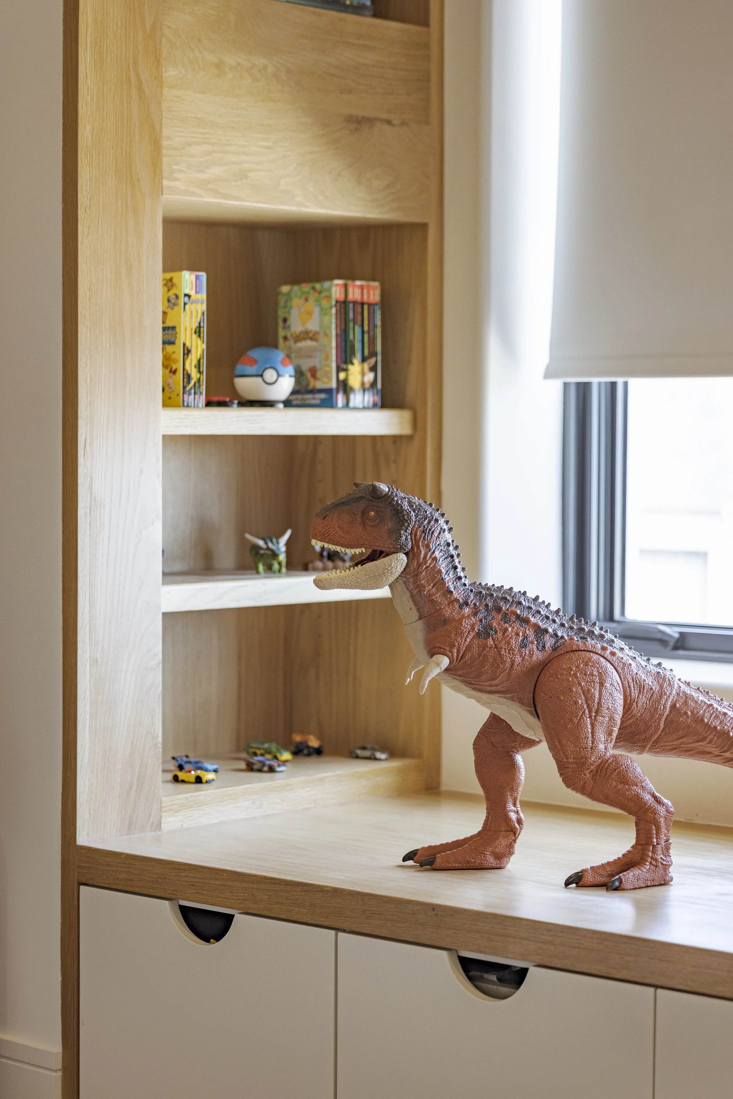 Intergraded custom toy/book shelves & storage drawers